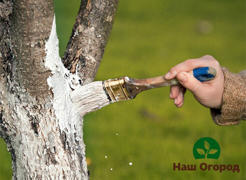 Pokok pencucian harus dilakukan pada suhu udara yang hangat.