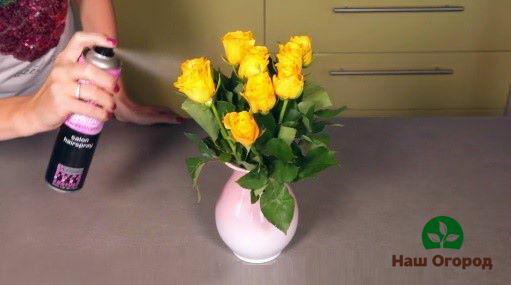 Preserving flowers with varnish