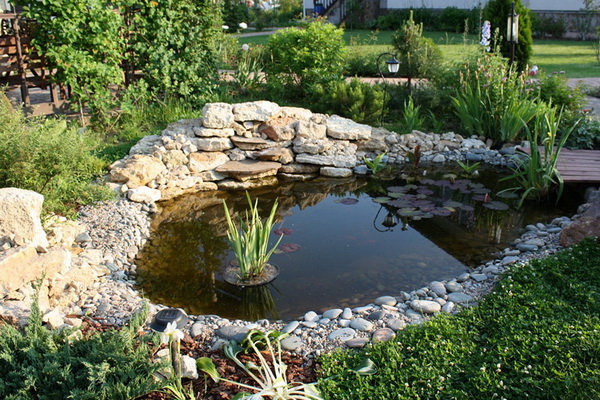 A pond in the garden is an integral attribute of a real eco-garden