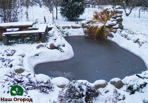 Декоративно езерце през зимата