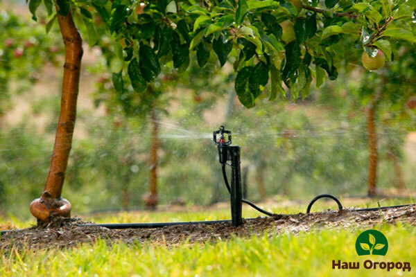 kerja kebun pada bulan Mei