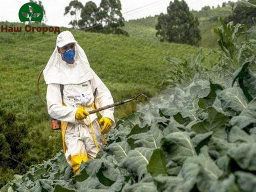 Il est nécessaire de traiter la zone avec des vêtements de protection et un masque.