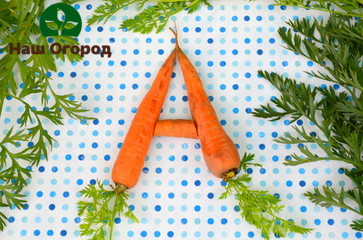 The high amount of vitamin A in carrots makes this root vegetable very healthy.