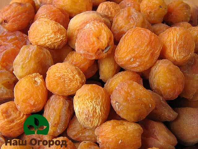 Dried Apricot Also Has Many Health Benefits