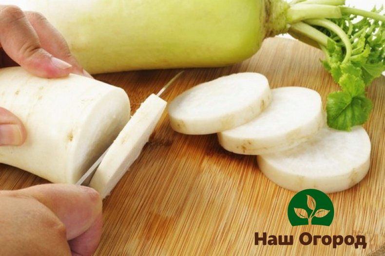 Ang mga eksperto sa pagluluto ay nagdaragdag ng daikon sa maraming pinggan, na binibigyan sila ng banayad na aroma at orihinal na panlasa.