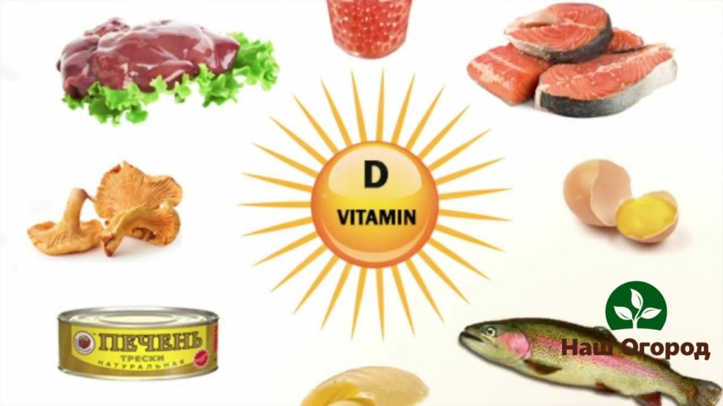 Thực phẩm chứa vitamin D tốt cho sức khỏe