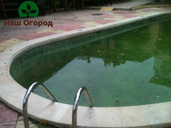 Падналите листа, мръсотията и калната вода не трябва да се допускат в басейна.