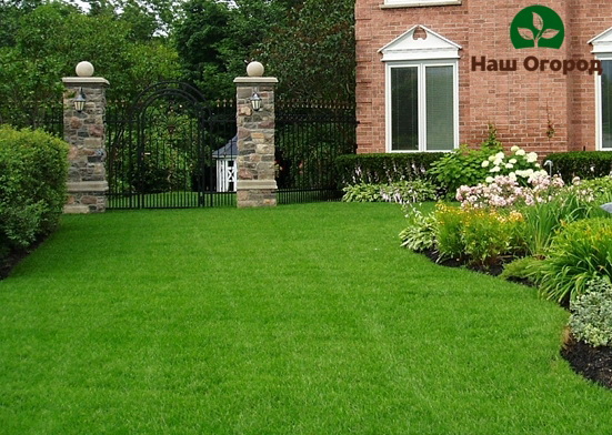 A beautiful neat lawn will look advantageous even in a small area