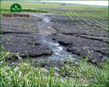 ذوبان الماء على التربة - مساعد في زراعة العديد من المحاصيل البستانية