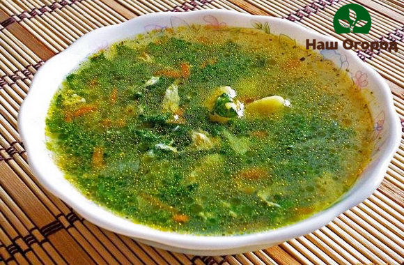 Maaari kang gumawa ng isang napaka-masarap at malusog na sopas mula sa panaginip