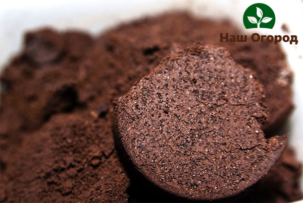 من الأفضل استخدام القهوة في حالة سكر كسماد ، حيث يوجد حمض في القهوة الطازجة يمكن أن يضر التربة