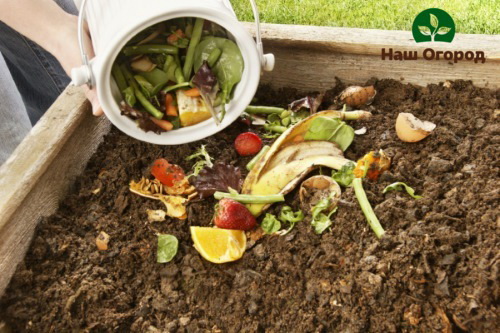 All plant waste can enter the compost, be it banana peels or empty pea pods