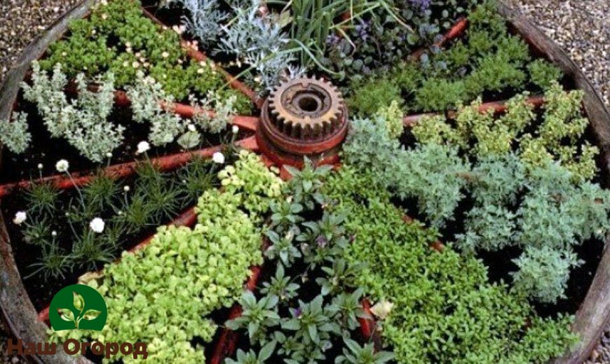 Une version inhabituelle d'un parterre de fleurs aux herbes épicées