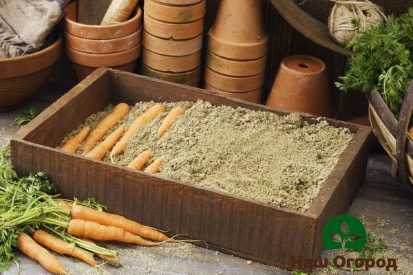 Кутия за пясък за съхранение на моркови