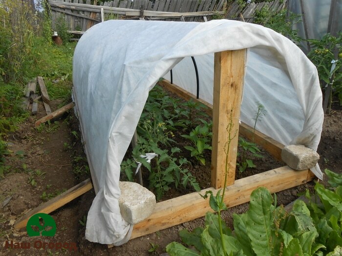 A DIY foil greenhouse for peppers will also perfectly protect peppers from cold nights.