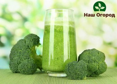 Broccoli smoothies are a great find for those looking to lose weight.