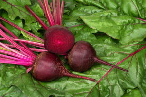 beet growing conditions
