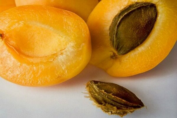 aprikožu audzēšana + no sēklām