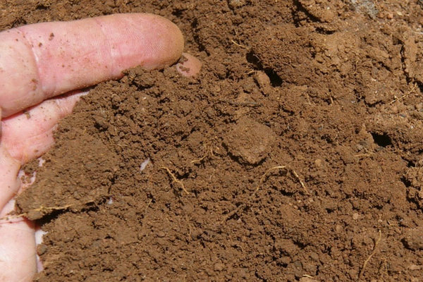 снимка на кисела почва