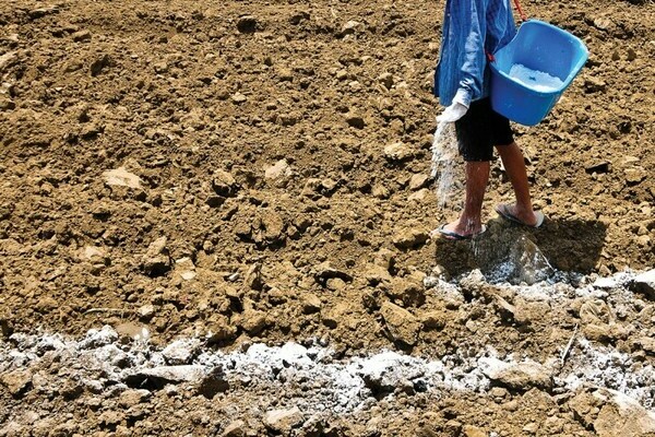 кисела почва как да се определи
