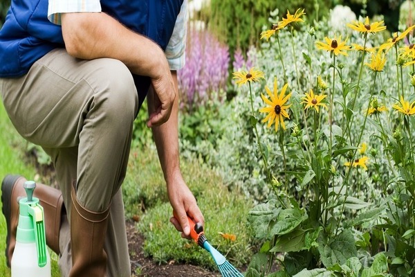 vacanza in giardino