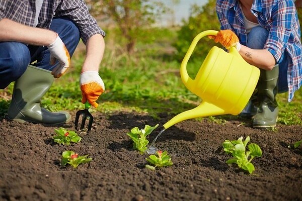 vacanza in giardino