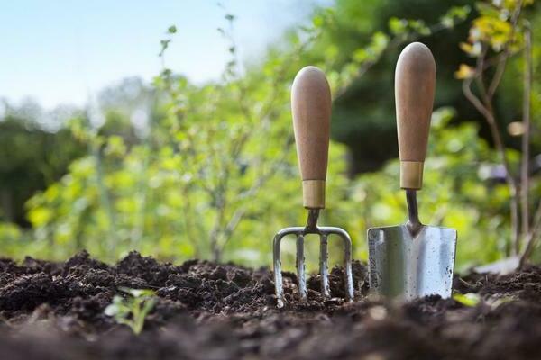 Lavorare nell'orto