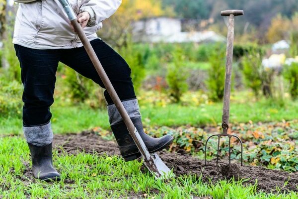 travaux dans le jardin photos