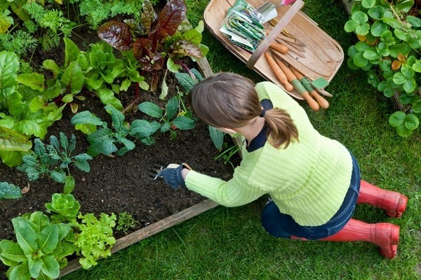 travaux jardins vergers