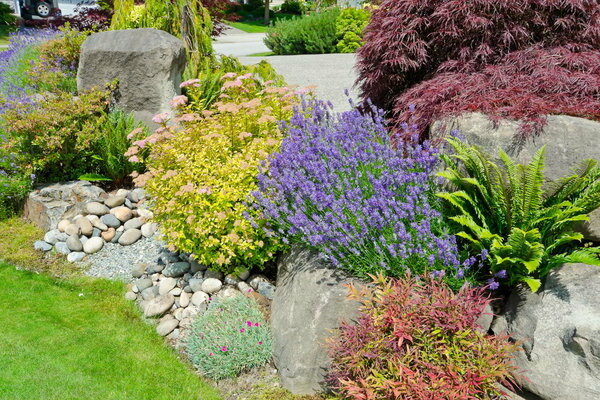 Rock garden scheme