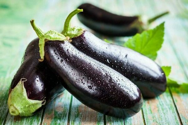 pagtatanim ng mga eggplants sa greenhouse