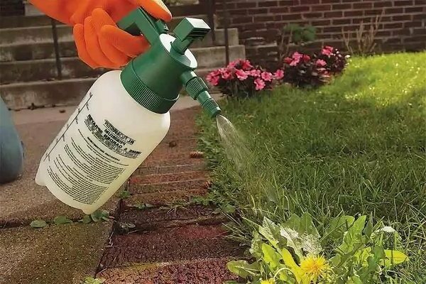 preparati per il controllo delle infestanti in giardino