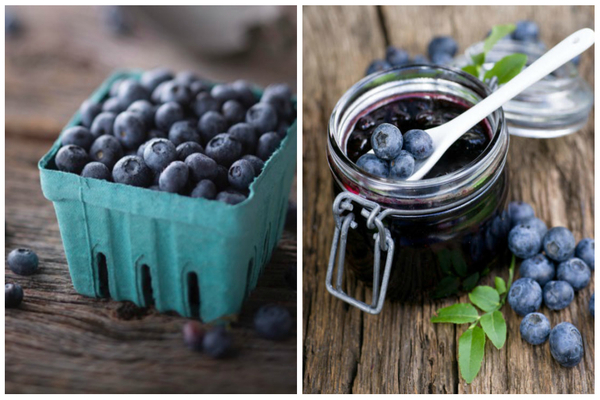 jem blueberry untuk musim sejuk