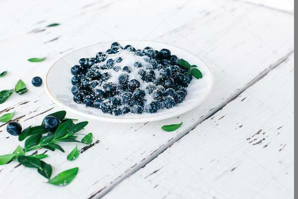 blueberry untuk musim sejuk