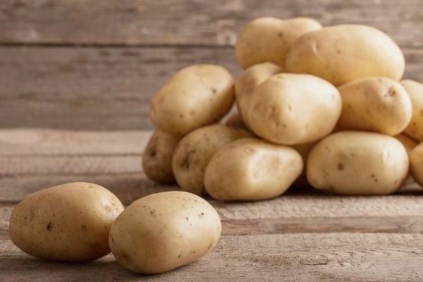 късни сортове картофи