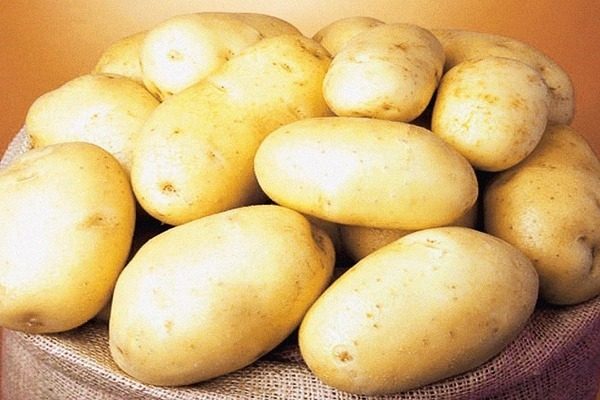 kentang ratu anna