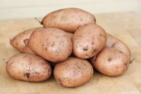 late varieties of potatoes