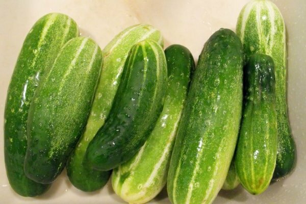 cucumber varieties