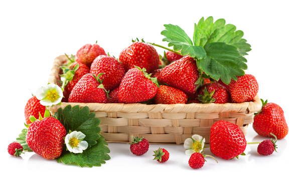 описание на сорта ягоди