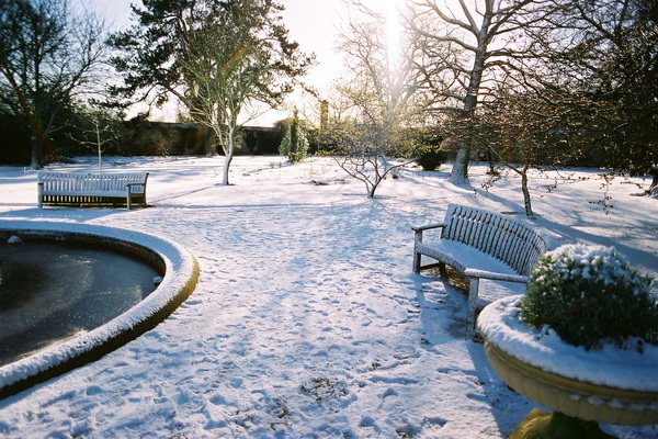 حديقة في الشتاء