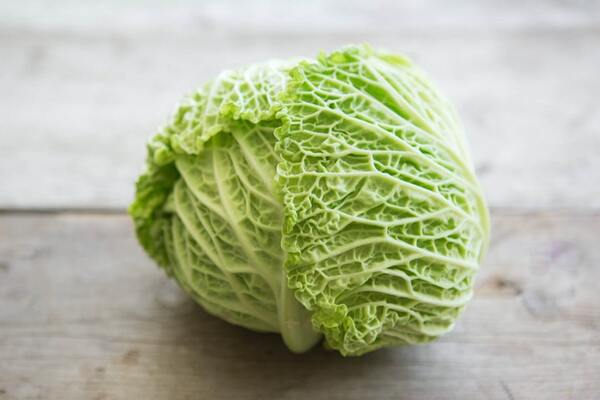 white cabbage varieties