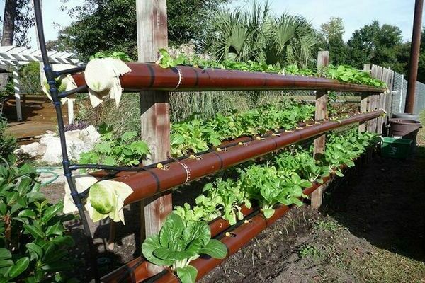 Diy patayong mga strawberry bed mula sa mga tubo ng pagtutubero