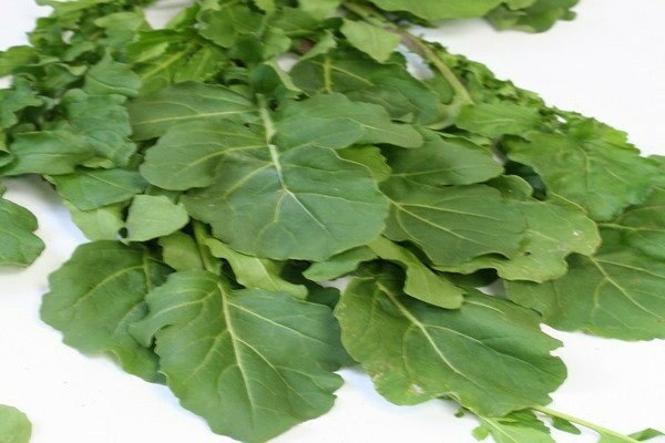 รูปภาพ Arugula