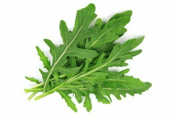 Foto Arugula