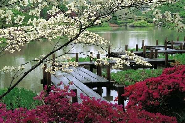 حديقة يابانية