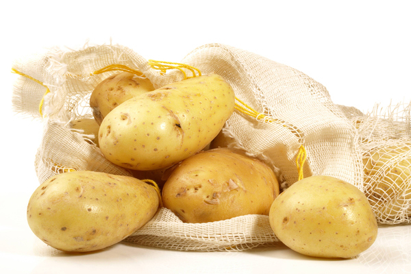 kentang zekura