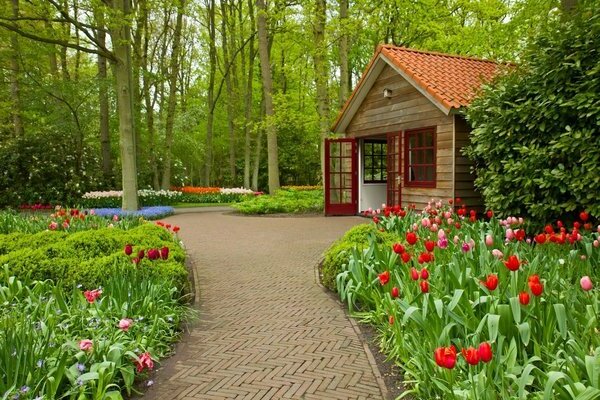 حديقة قرية هولندية ديي حديقة