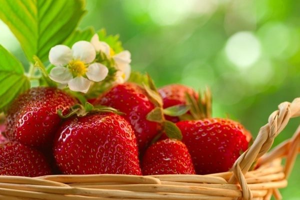 как да съхранявате ягоди
