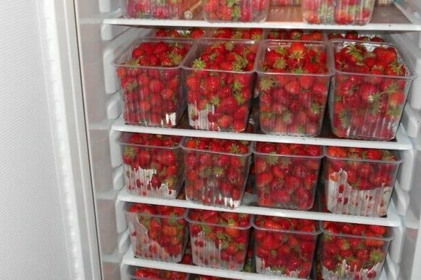 cara menyimpan strawberi + di dalam peti sejuk