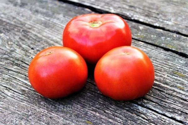 Penerangan: varieti tomato masak awal. Varieti TOP-10